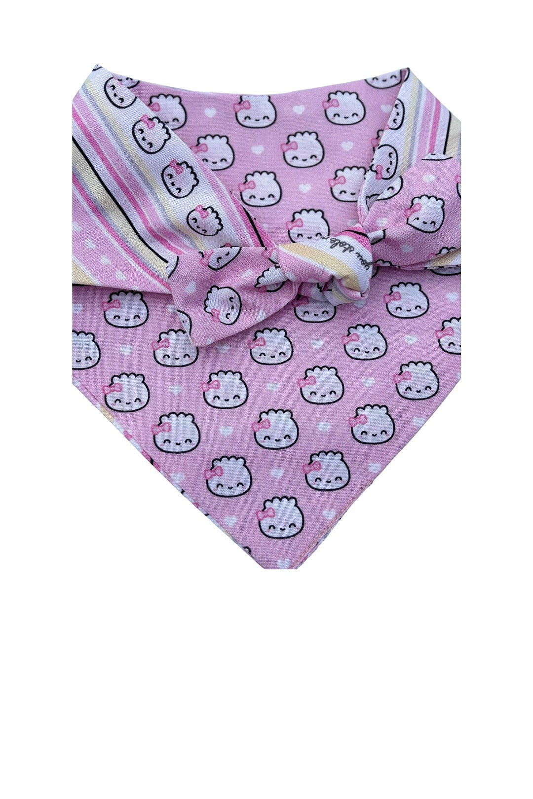 You Are Wonton In A Million Pet Reversible 2 Designs in 1 Bandana